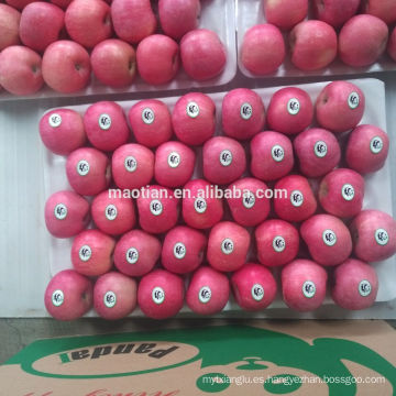 Shandong Fresh Red Fuji Apple2017 nueva temporada